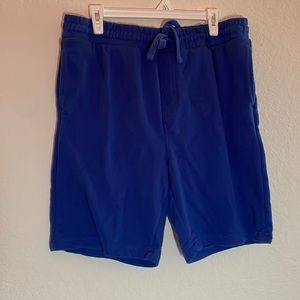 No Boundaries Blue Shorts (L)